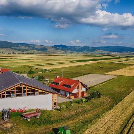 Kavalliera Pensiune Cotormani Exterior foto