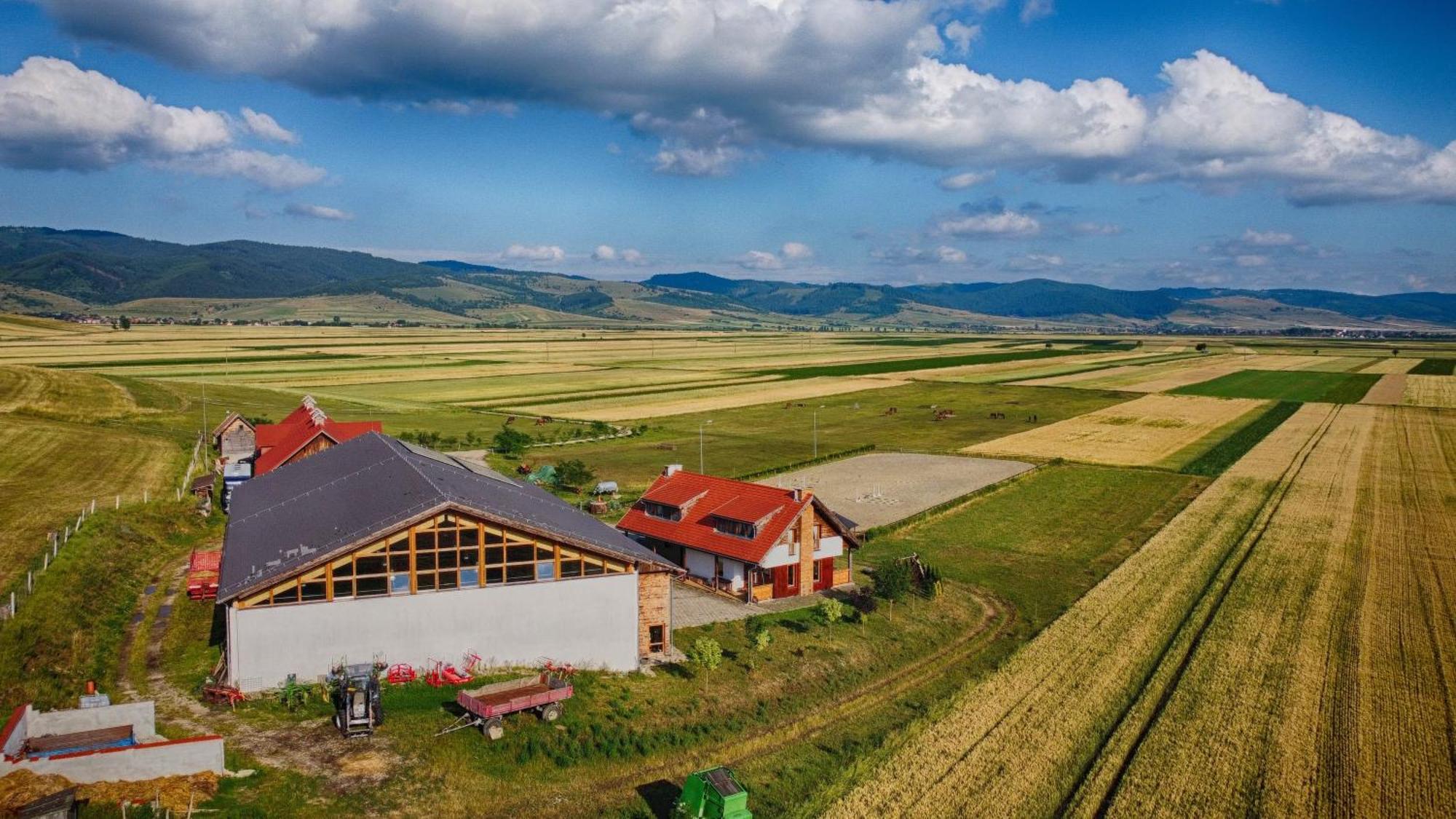 Kavalliera Pensiune Cotormani Exterior foto